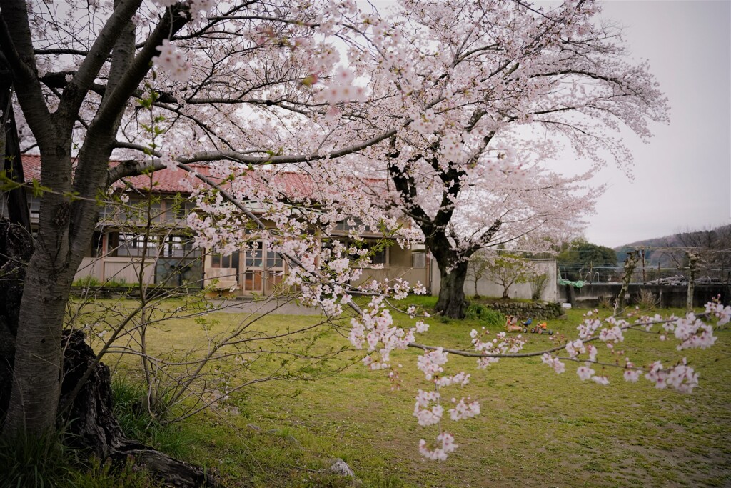 廃校でも春は来る