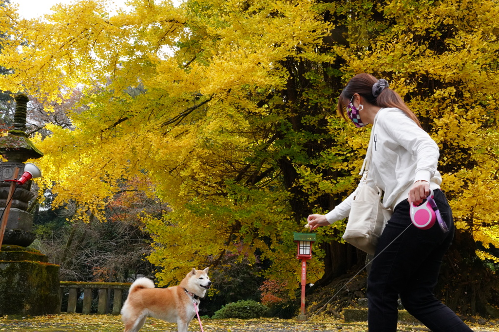 紅葉の前で