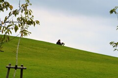 公園で犬と遊ぶ