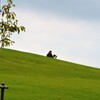 公園で犬と遊ぶ