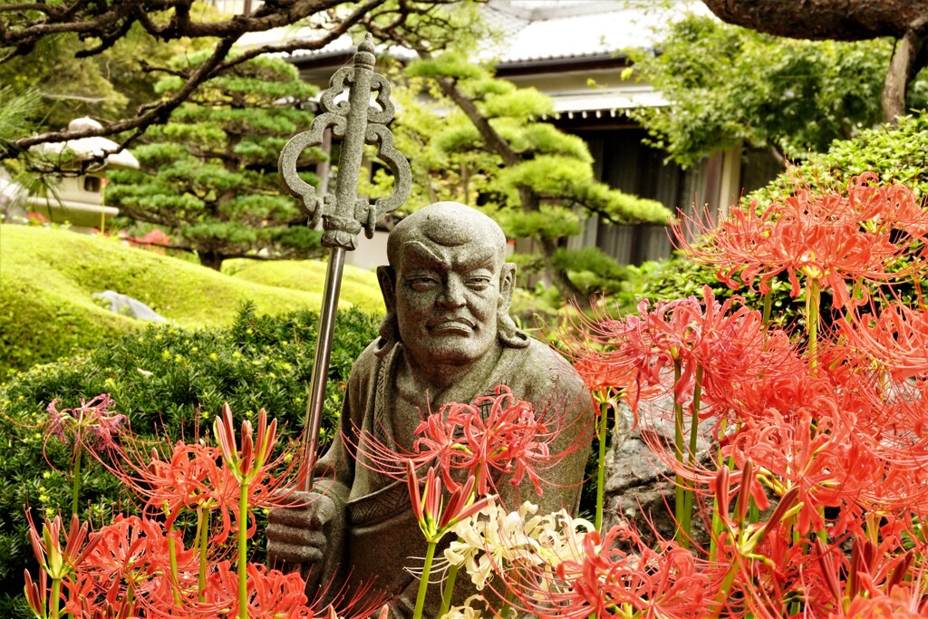 彼岸花に囲まれて