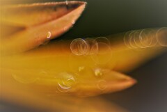 リング遊び４