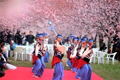去年は賑やかだった