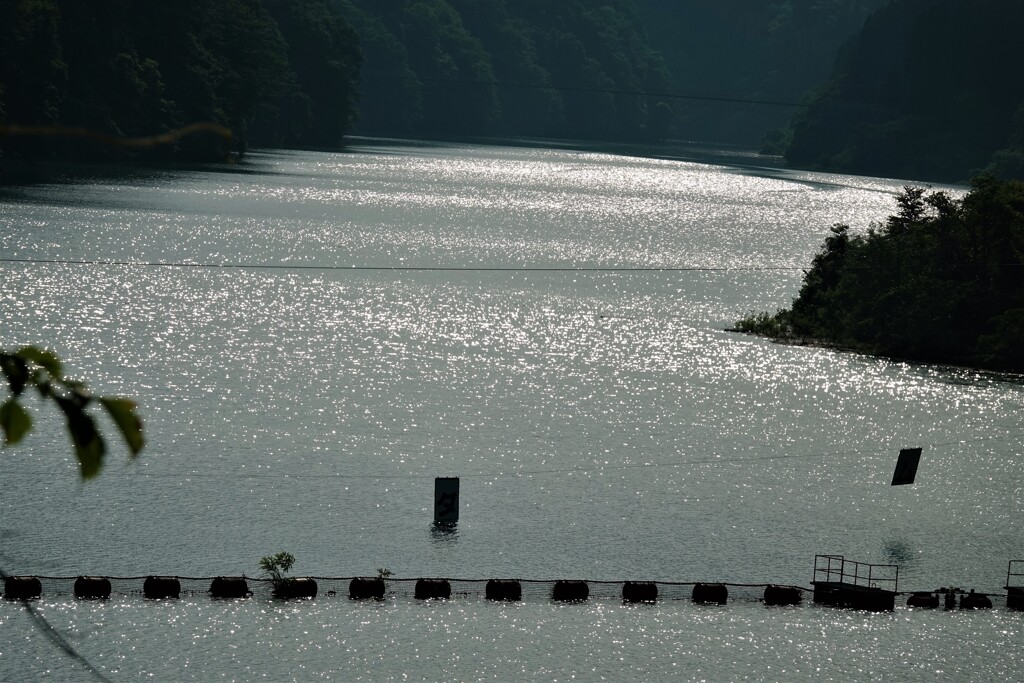 水面の輝き