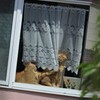 日向ぼっこ