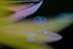 リング遊び５