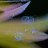 リング遊び５
