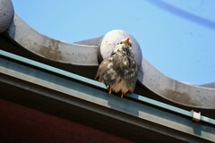 可愛いね～