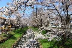 お天気も良く