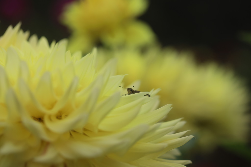 見つかった～？