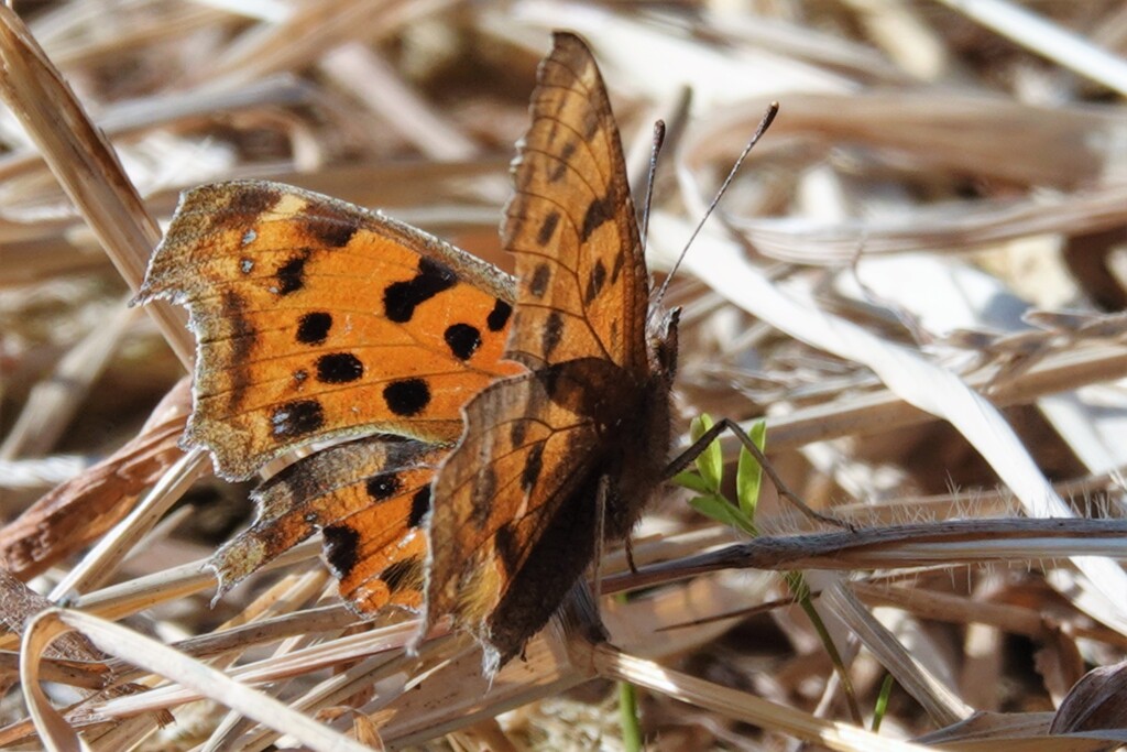 暖かい日差しに誘われて