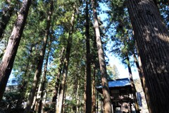 山奥の寺