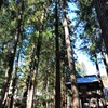 山奥の寺