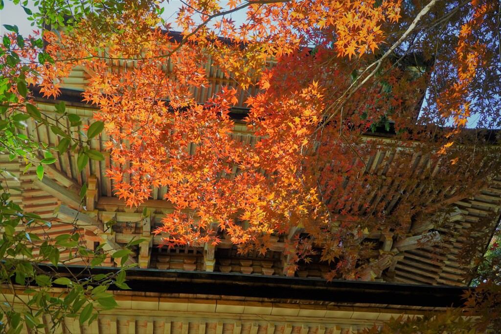 三重塔と紅葉