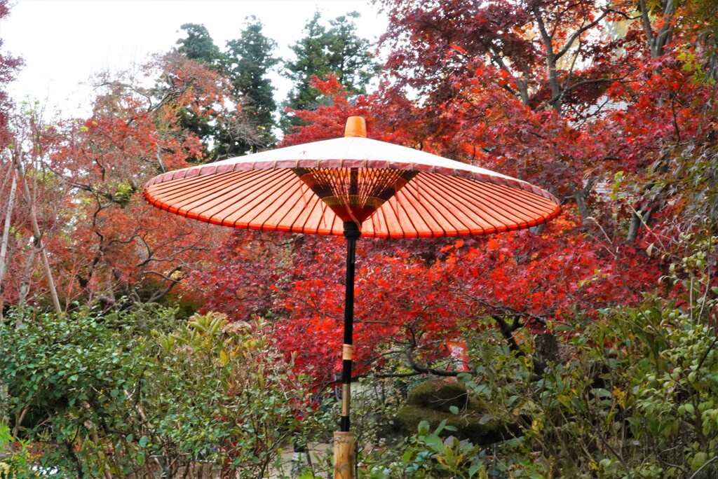 紅葉と和傘