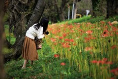 上手く撮れたかな？