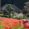 古民家と彼岸花