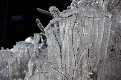 樹氷