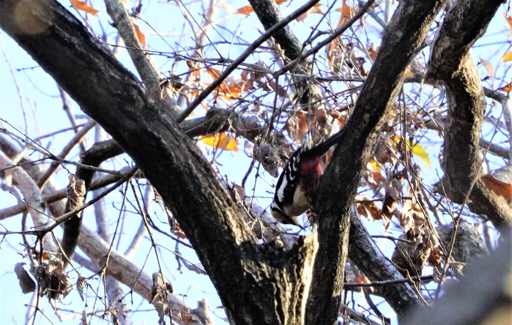 コツコツと響く