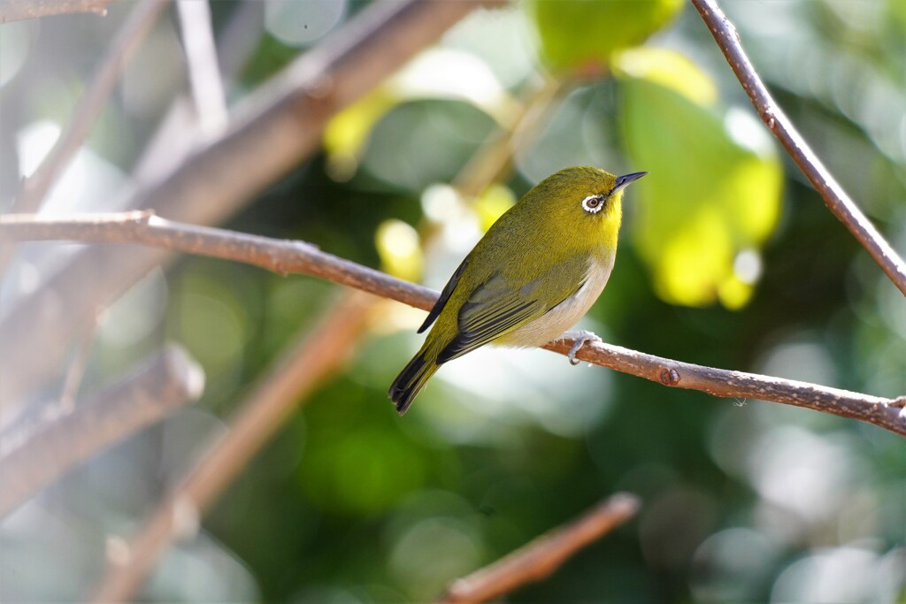 いい日よりだな～♪