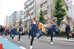 道路一杯に踊る