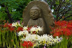 花に囲まれて