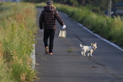 朝の散歩