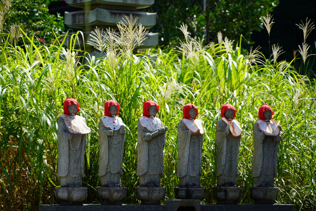六地蔵にススキ