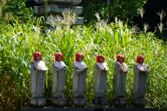 六地蔵にススキ