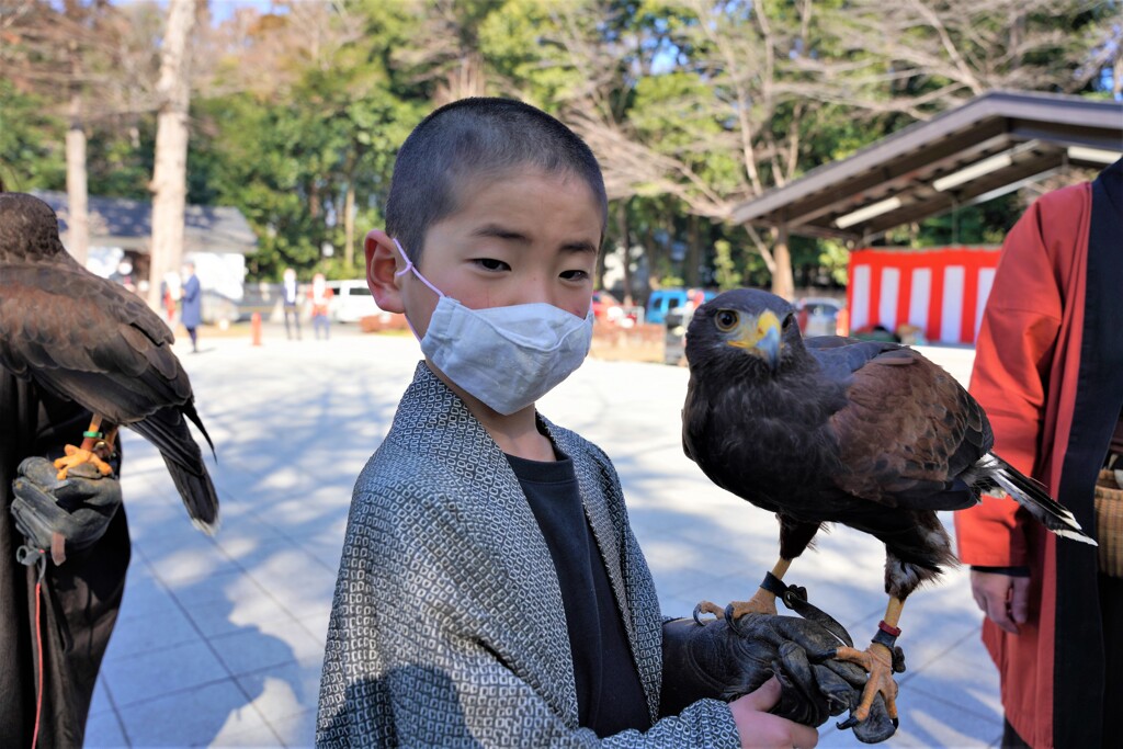 僕が育ててる鳥