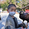 僕が育ててる鳥