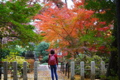 紅葉にウットリ
