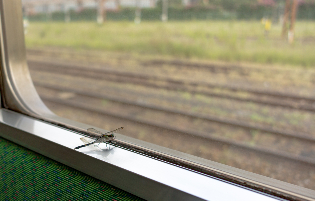 ギドロンの憂鬱