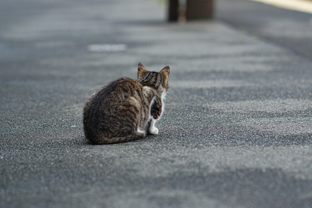 ホームにて