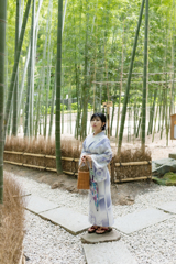 参