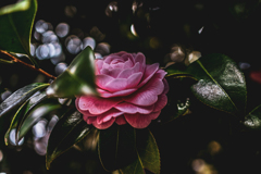 落ちて分かる　君の名