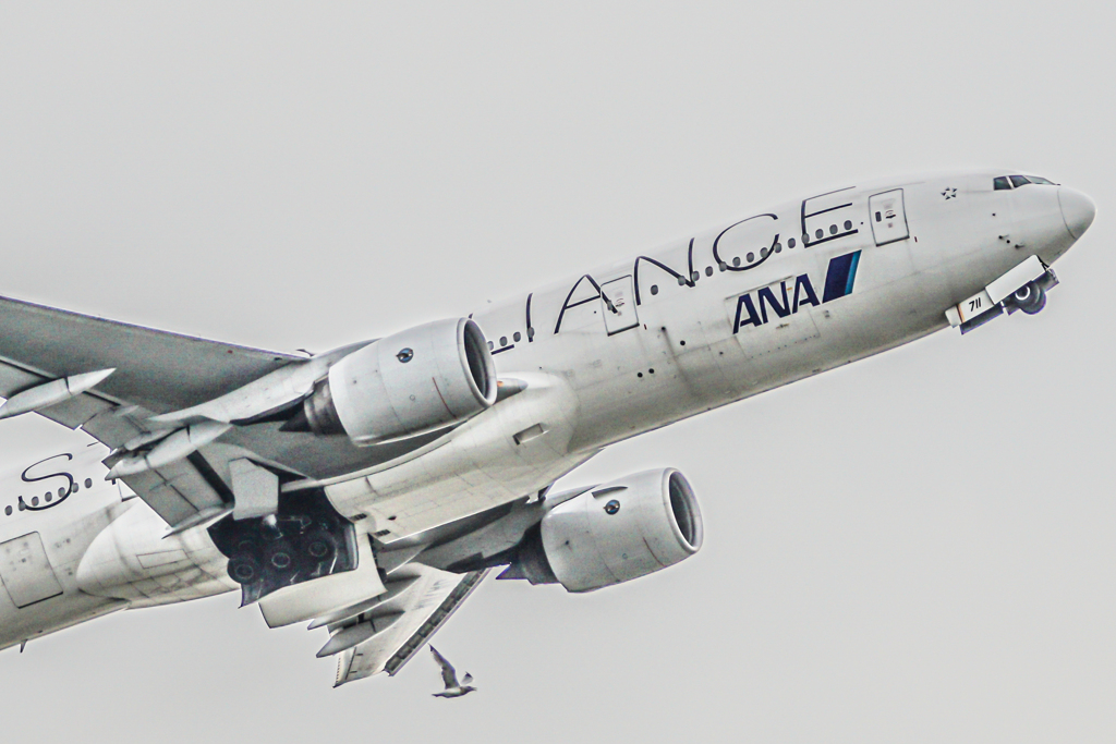 Jonathan Livingston Seagull