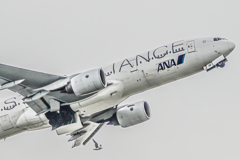 Jonathan Livingston Seagull