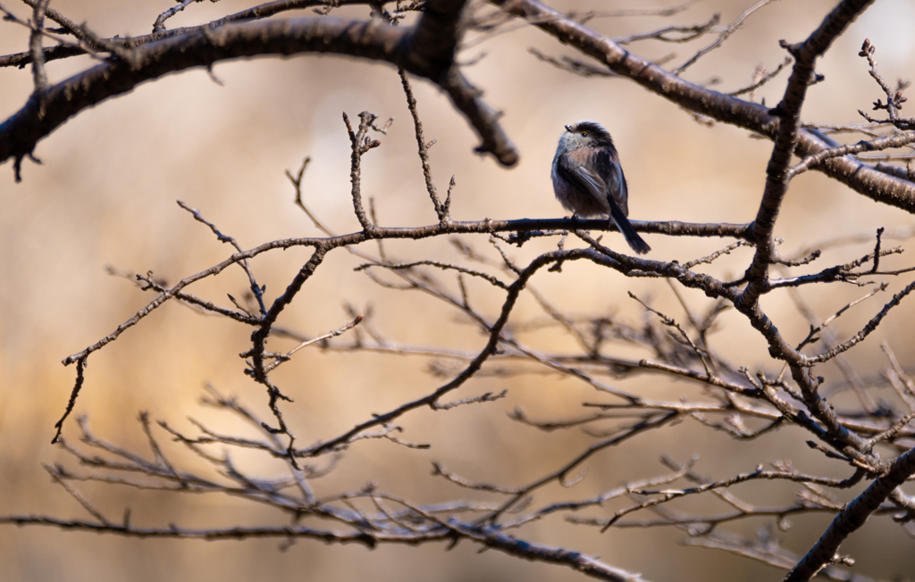 Spring is just around the corner.