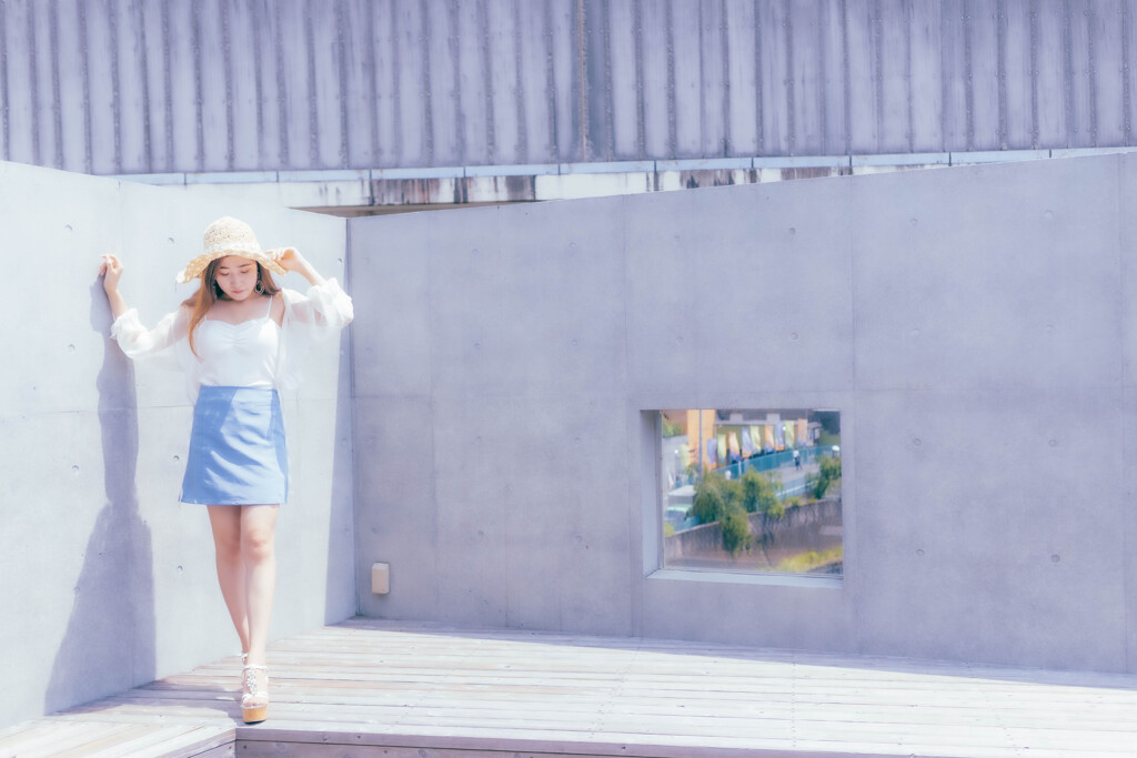 Door into Summer
