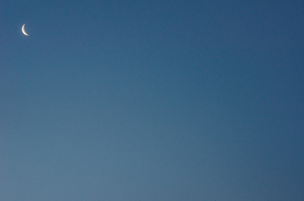 I want my two hundred dollars.