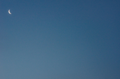 I want my two hundred dollars.