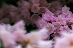 take care of yourself for me take care of yourself for me