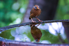 take a look at oneself again