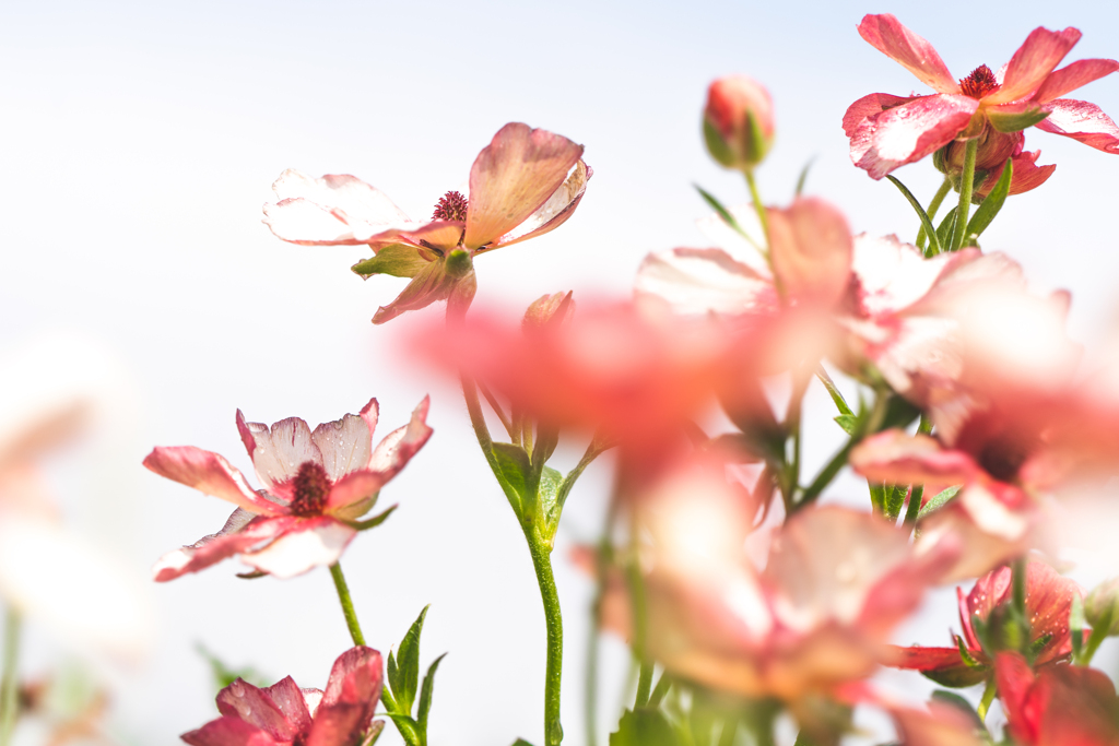  Make each day your masterpiece. 