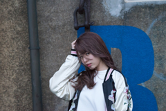 StrayCat