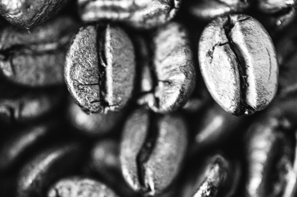 Ethiopia Sidamo