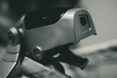 Do Androids Dream of Electric Sheep?