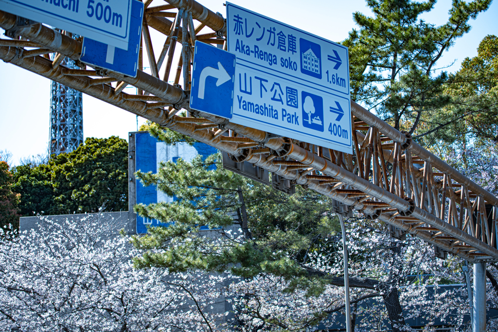 Please go to the right. 