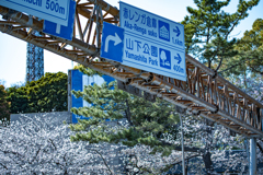 Please go to the right. 